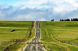 長路,自然,路