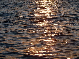 海,日落,氣氛