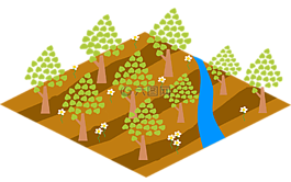 農(nóng)場,植物,河