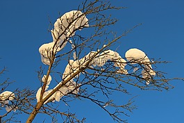 冬天,雪,天空