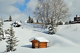 雪,阿爾卑斯山,上薩瓦省