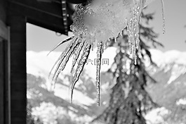 雪,阿爾卑斯山,上薩瓦省