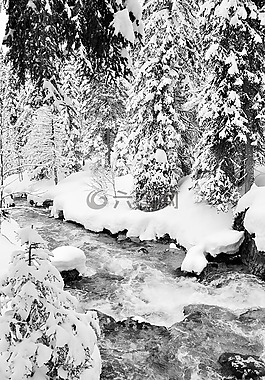 雪,阿爾卑斯山,上薩瓦省