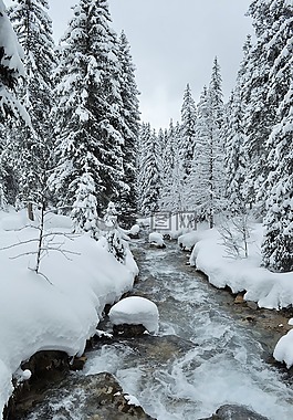 雪,阿爾卑斯山,上薩瓦省