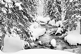 雪,阿爾卑斯山,上薩瓦省