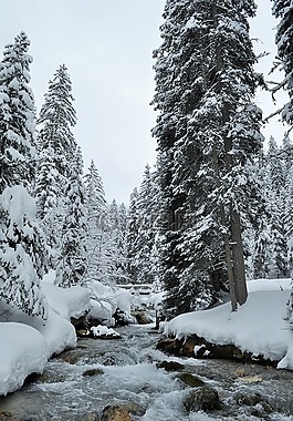 雪,阿爾卑斯山,上薩瓦省