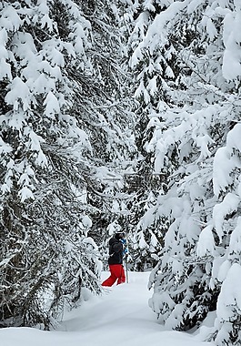 雪,阿爾卑斯山,上薩瓦省