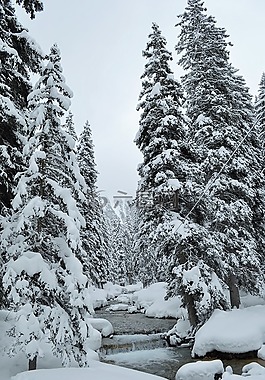 雪,阿爾卑斯山,上薩瓦省