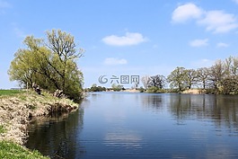 性質(zhì),水域,樹