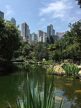 香港,公園,池