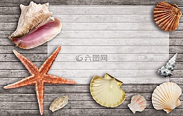 假期,夏季,太阳