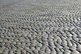 海灘,落潮,海