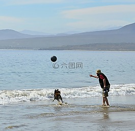 海灘,游戲,男子