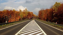 秋,公路,波蘭