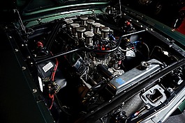野馬,馬達,車