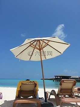 海灘,馬爾代夫,梧桐