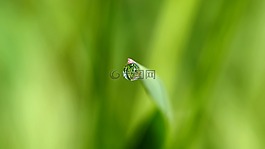 廠,性質(zhì),活