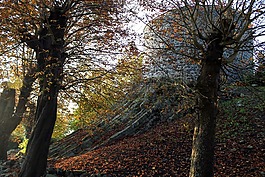 westerburg的,westerwald,城堡