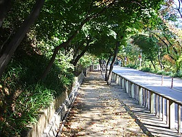 大韓民國,路,景觀