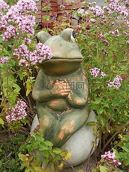 青蛙,花園,鮮花