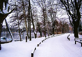 柏林 konradshohe,德國(guó),公園