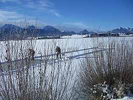 冬天,阿爾卑斯山全景圖,湖