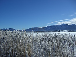 冬天,阿爾卑斯山全景圖,湖