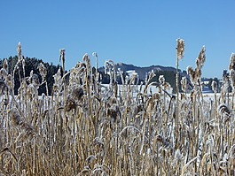 冬天,阿爾卑斯山全景圖,湖