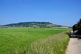 德国,原野,路