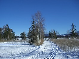 冬天,雪,腳印