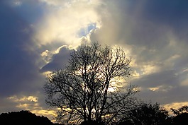太陽,日出,地平線