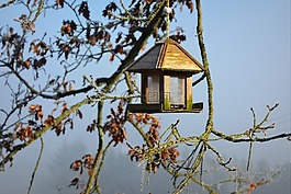 冷,嬰兒床,冬天
