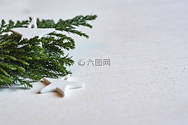 模糊,枝杈,圣誕節(jié)
