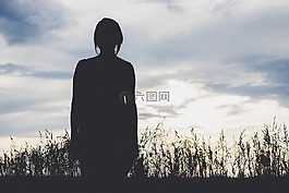 背光,美丽,日出