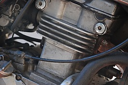 電機,摩托車,體育