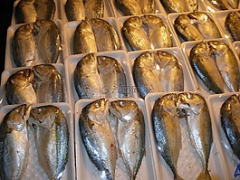 魚,市場,泰國