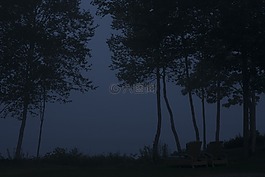 樹,夜,側(cè)影