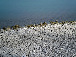 湖,海滩,石头