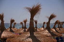 棕櫚屋頂,海,太陽
