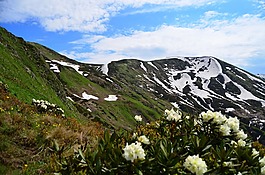 阿布哈兹,山,性质