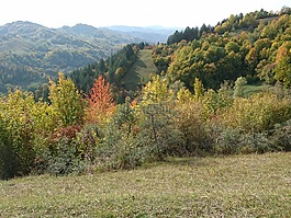 丘陵,農(nóng)村,陽光