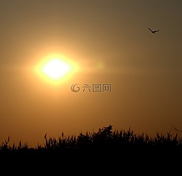 日落,太陽(yáng),天空