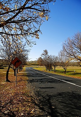 大自然,秋季,路