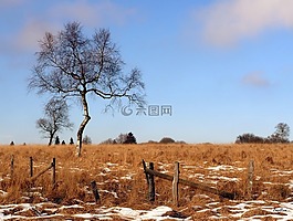 系泊,性質(zhì),恢復(fù)