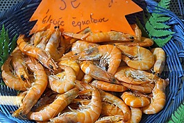 蝦,魚,m