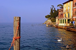 湖,系泊設(shè)備,天鵝