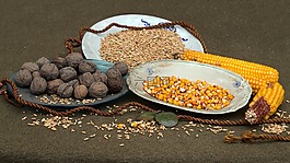 靜物,堅(jiān)果,谷物