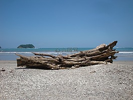 哥斯達黎加,太平洋,海灘