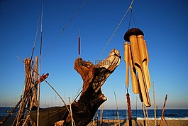 假日,海滩,海