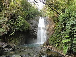 級聯(lián),雨林,大瀑布